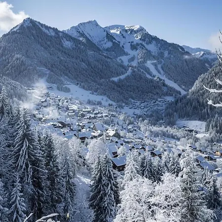 With Private Garage In Châtel
