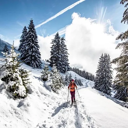 With Private Garage In Daire Châtel